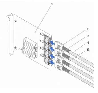 4-port.fan-out.cabling.topology